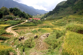 Bac Ha - Ha Giang 