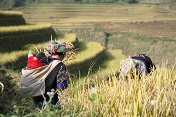 Ha Giang - Dong Van