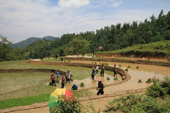 Yen Bai Ha Noi