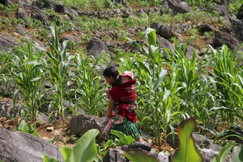 Tuyen Quang - Ha Giang