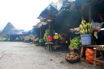 Hanoi - Ban Buoc Village ( Mai Chau )