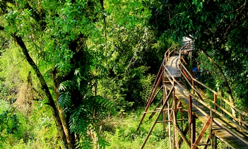 Da Lat - Cat Tien National Park 